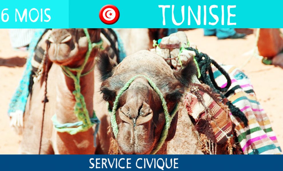 destination-tunisie